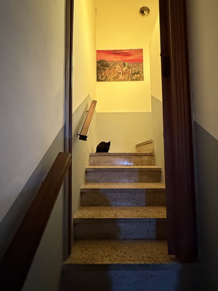 Casa en venta Alem 262