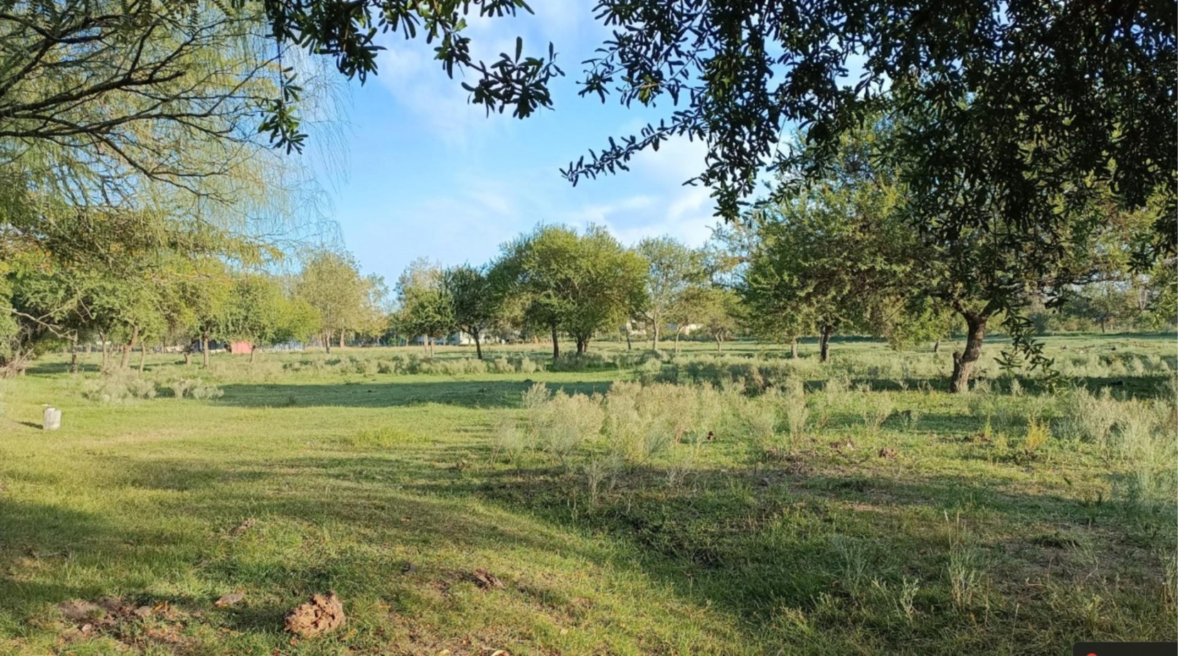 Chacra en venta Calle 5545 entre 73 y 165