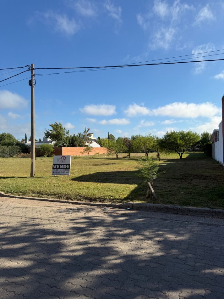 Terreno en venta Francisco Ramirez casi Primera Junta