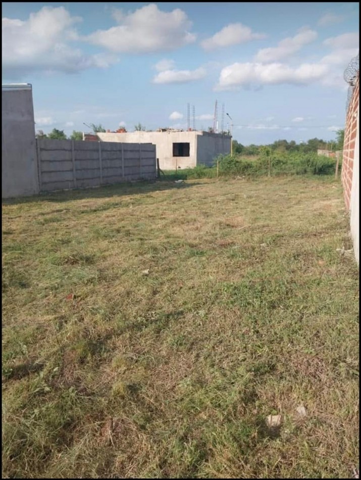 Terreno en Palavecino y Molinari