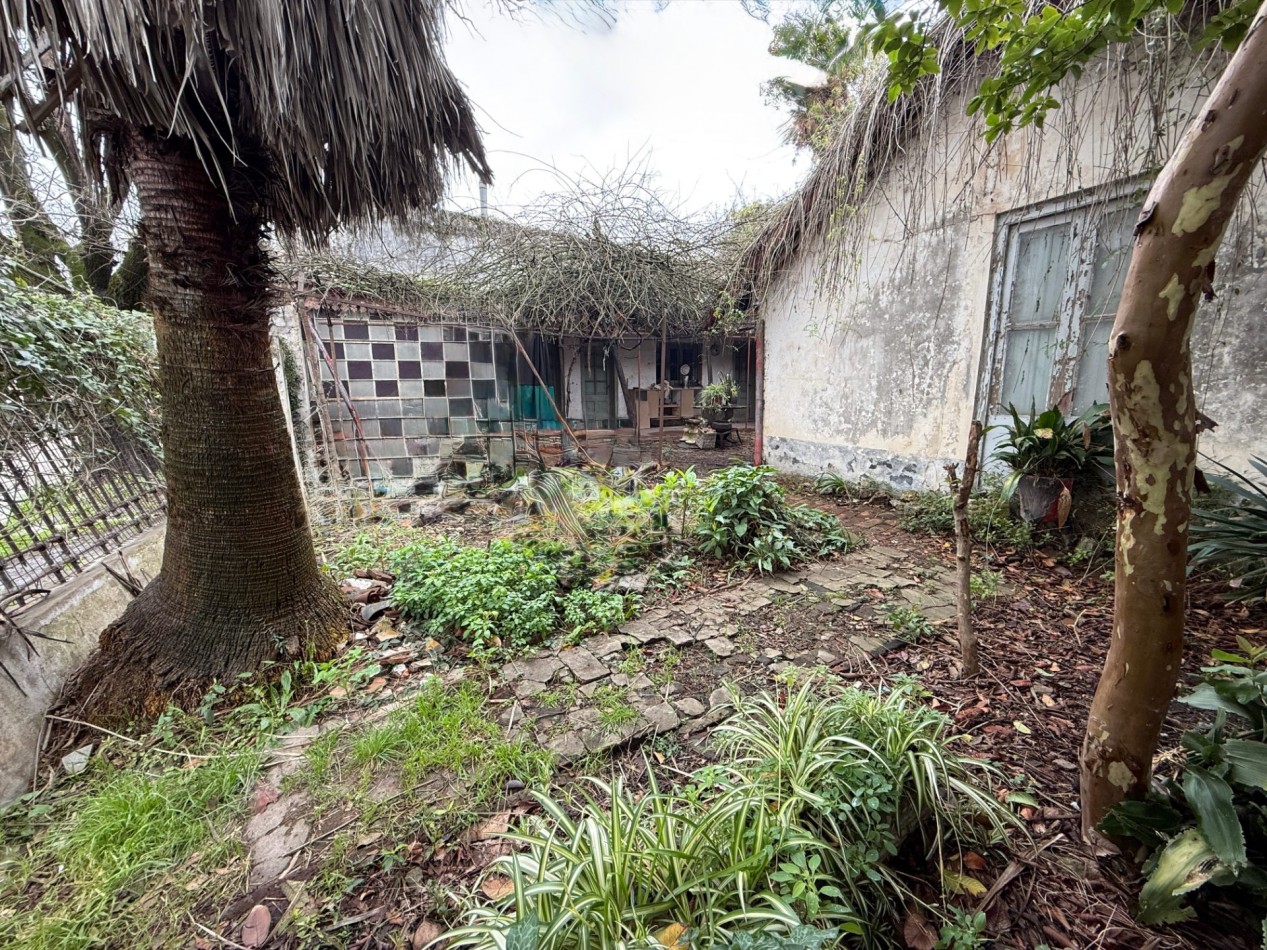 Propiedad de 27 metros de frente en venta Schachtel 168