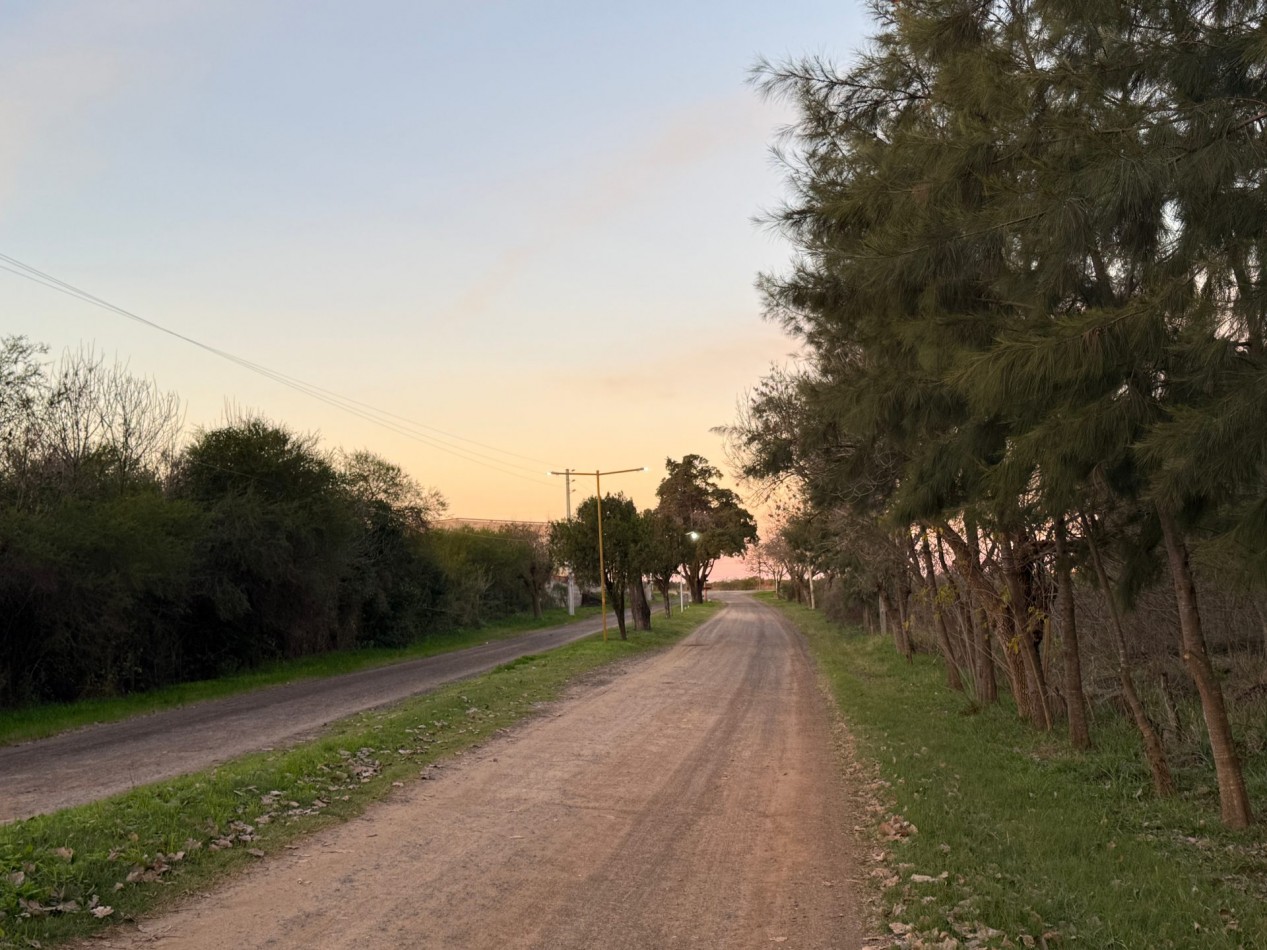 Los Ceibos entre Las Camelias y Las Violetas, Barrio Don Pedro