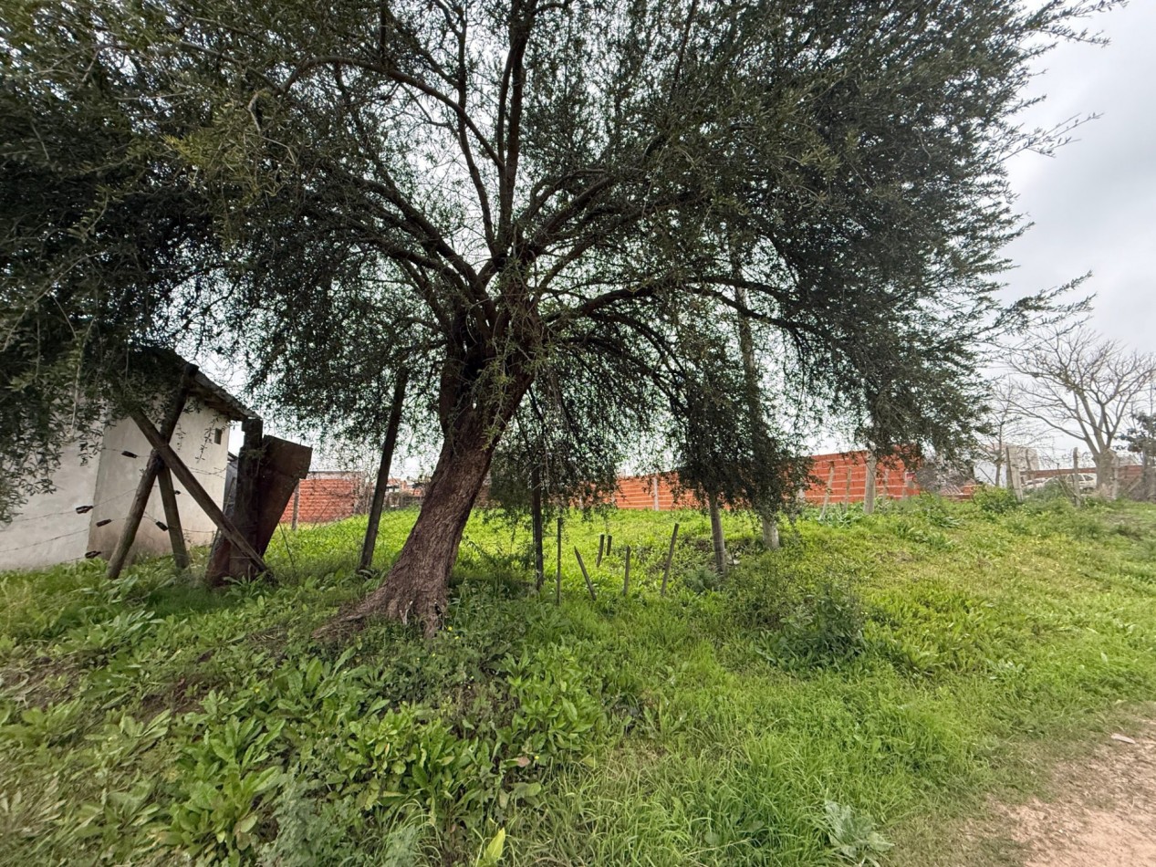 Terreno en venta Federacion entre Cordoba y Alsina