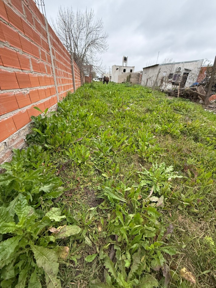 Terreno en venta Federacion entre Cordoba y Alsina