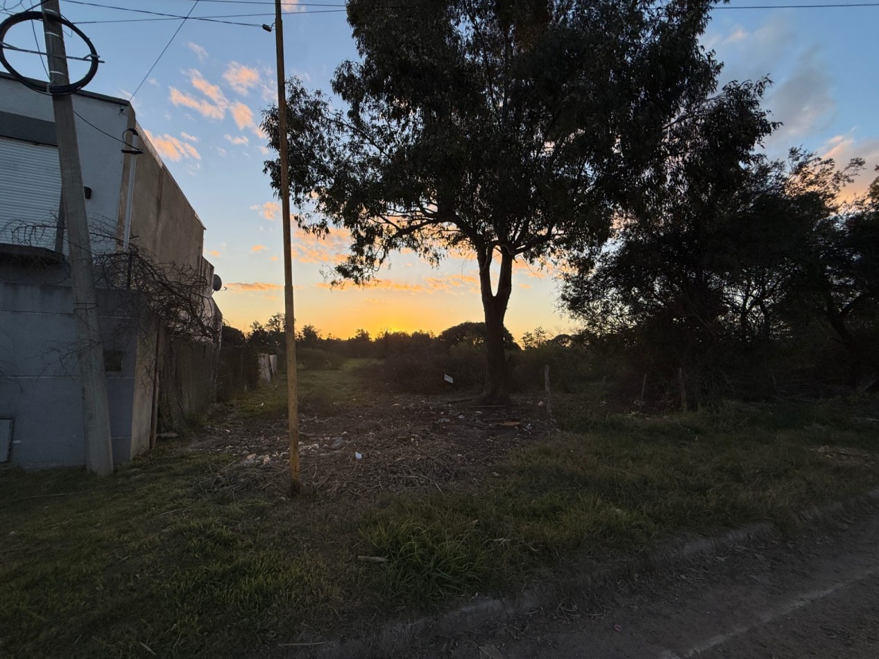 Terreno en venta Courtet 221