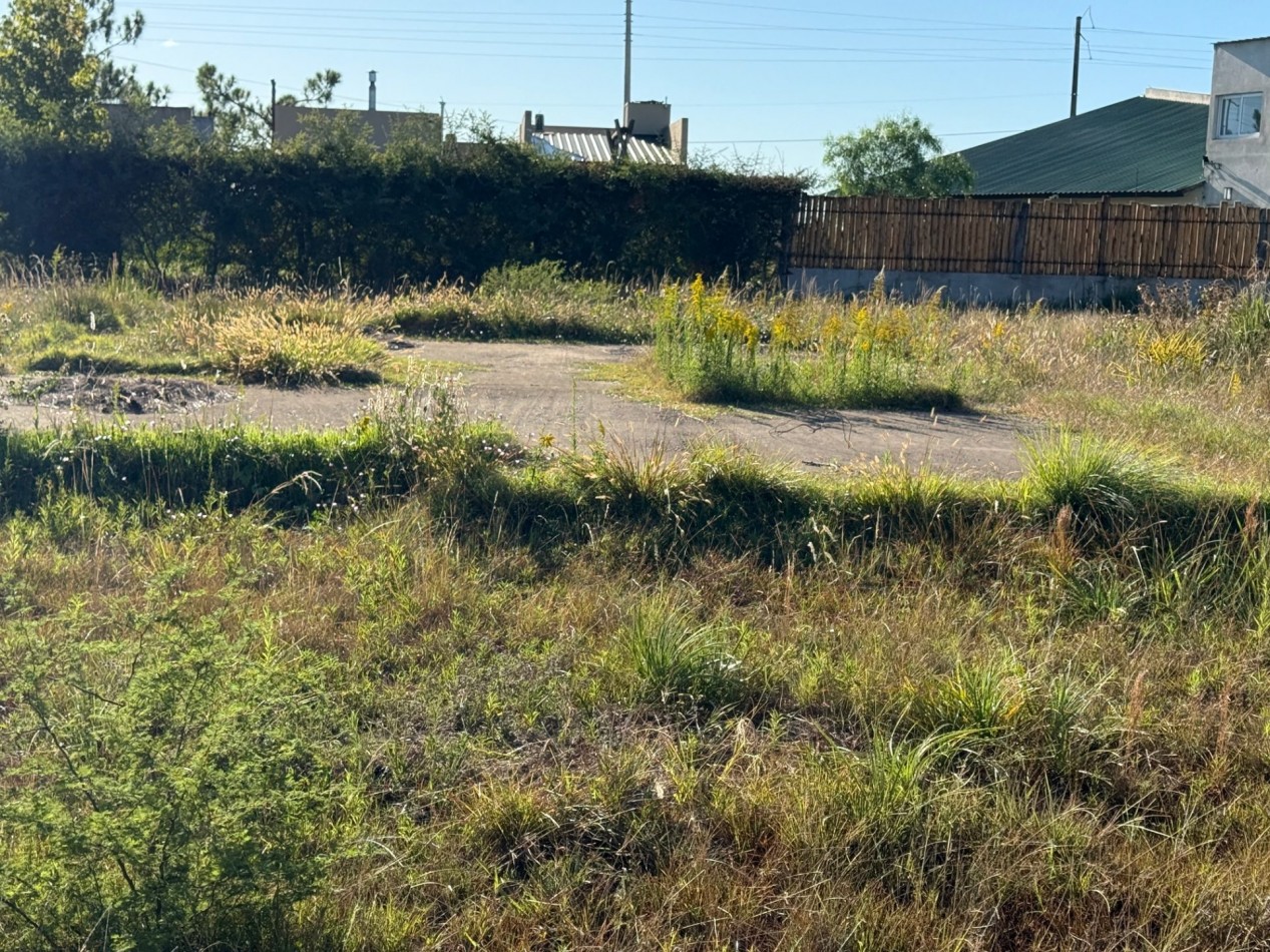 Terreno en venta San Vicente y Santa Elena Pueblo Belgrano