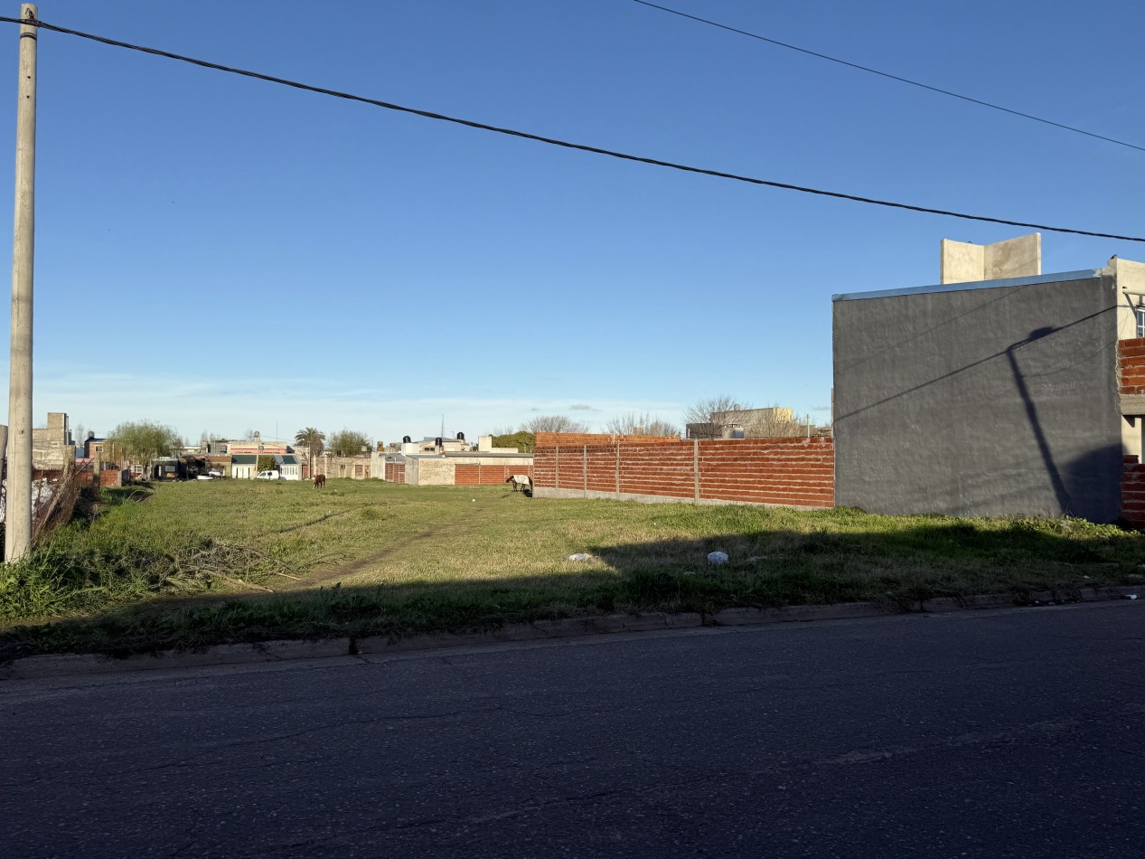 Loteo en venta Roffo y San Juan 