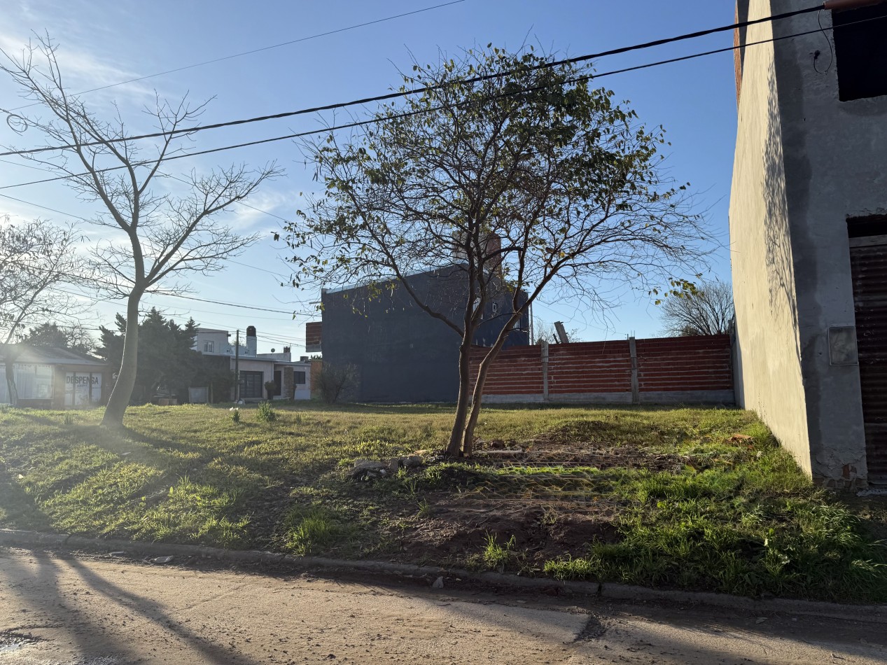 Loteo en venta Roffo y San Juan 