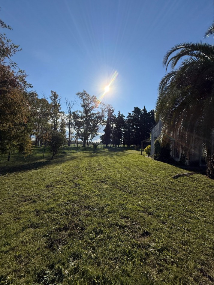 Campo en venta Perdices Ruta 14 Km. 31,5