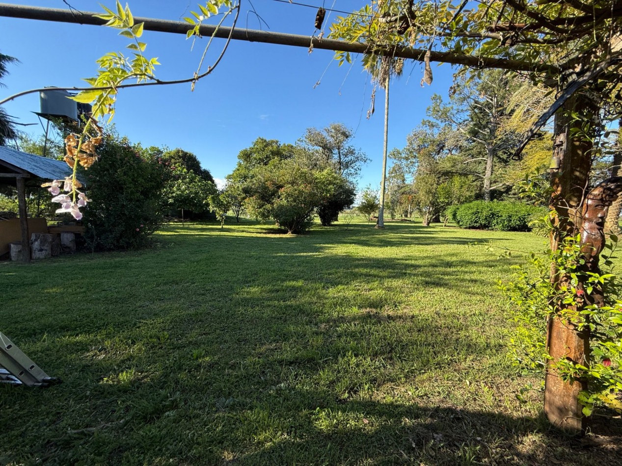 Campo en venta Perdices Ruta 14 Km. 31,5
