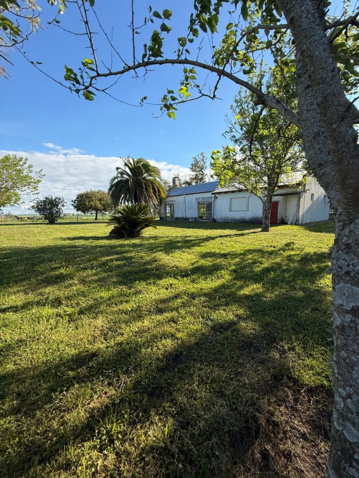 Campo en venta Perdices Ruta 14 Km. 31,5