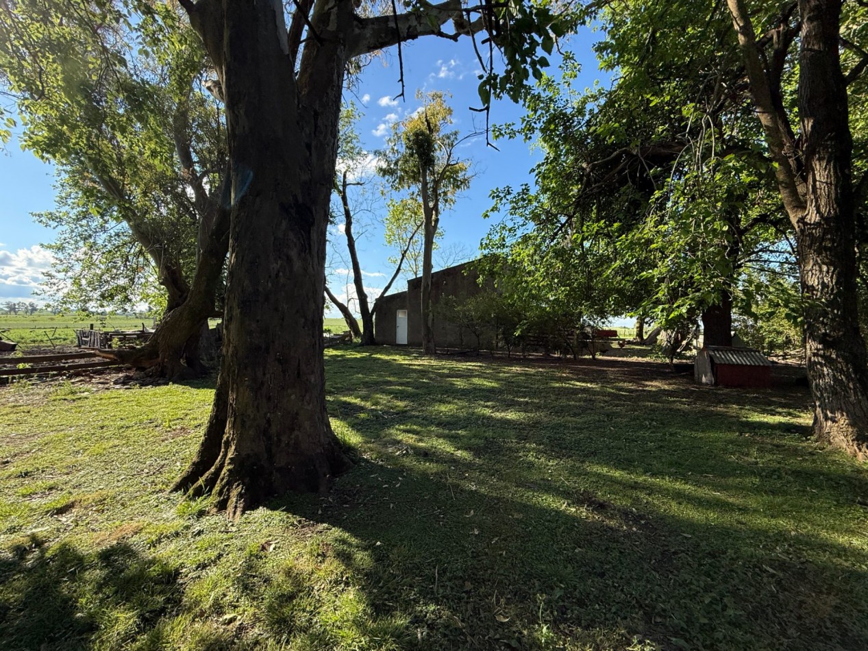 Campo en venta Perdices Ruta 14 Km. 31,5