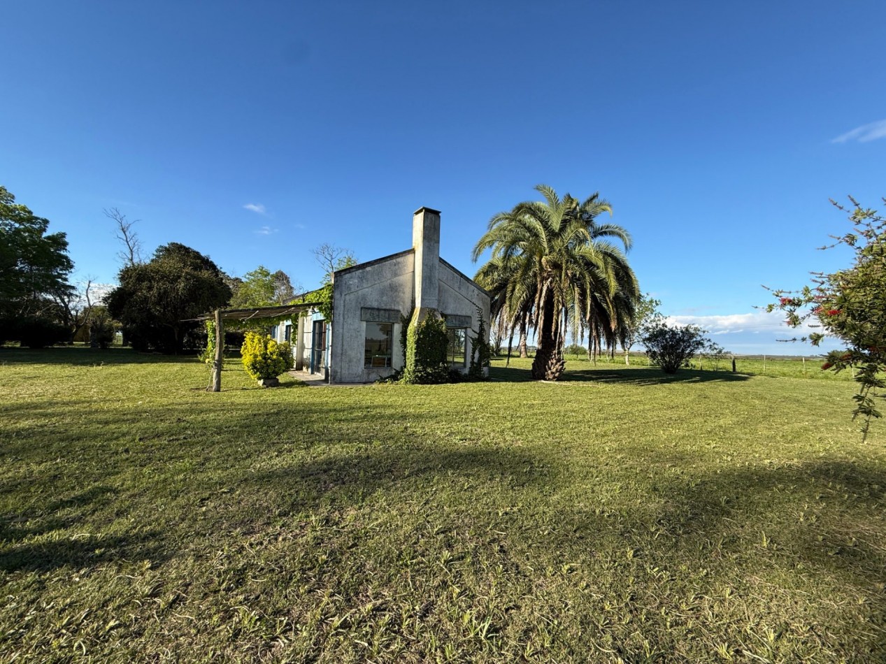 Campo en venta Perdices Ruta 14 Km. 31,5