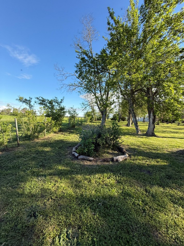 Campo en venta Perdices Ruta 14 Km. 31,5