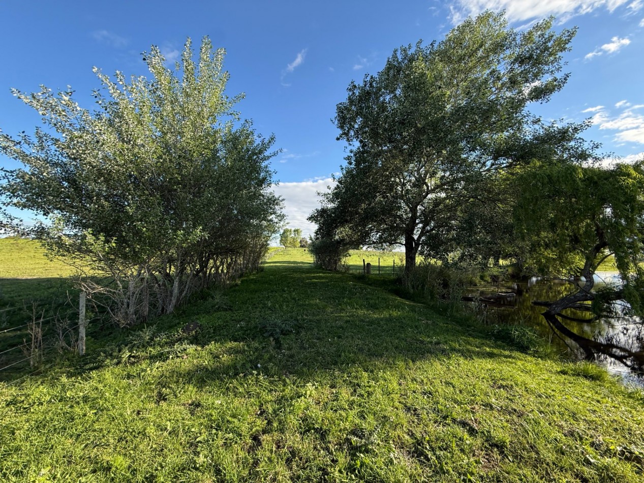 Campo en venta Perdices Ruta 14 Km. 31,5
