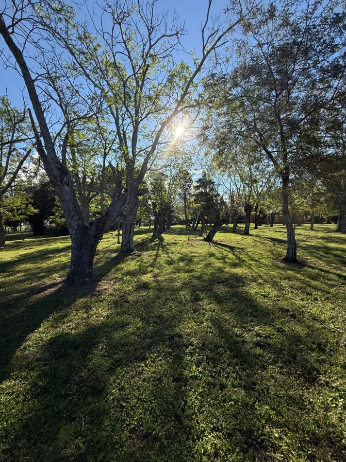 Campo en venta Perdices Ruta 14 Km. 31,5