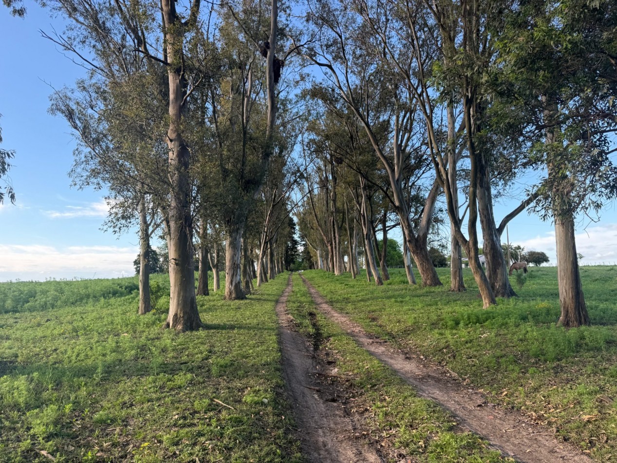 Campo en venta Perdices Ruta 14 Km. 31,5