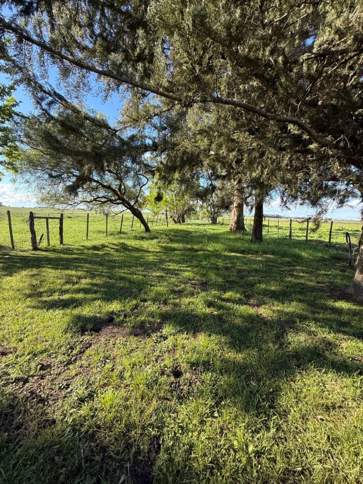 Campo en venta Perdices Ruta 14 Km. 31,5