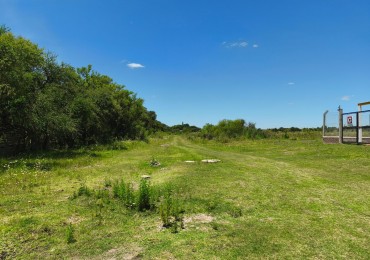 Chacra en venta Curita Gaucho entre 5690 y Gregorio Inda