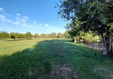 Chacra en venta Calle 5545 entre 73 y 165