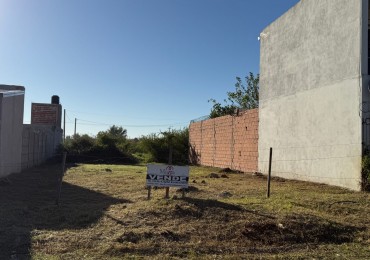 Terreno en Palavecino y Molinari