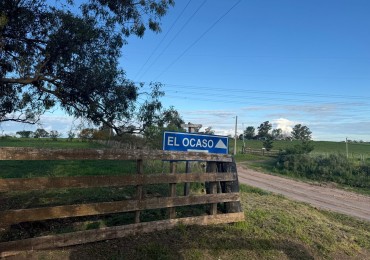 Campo en venta Perdices Ruta 14 Km. 31,5