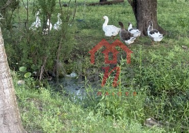Terreno en venta Camino de la Costa